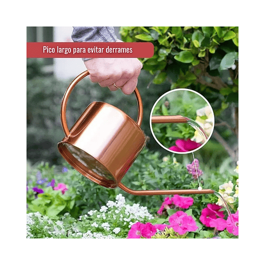 Regadera De Plantas Jardinería x 40 Onzas En Acero 5