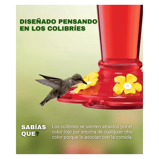 Bebedero Para Colibríes Aves Plastico De Colgar En Jardines 7