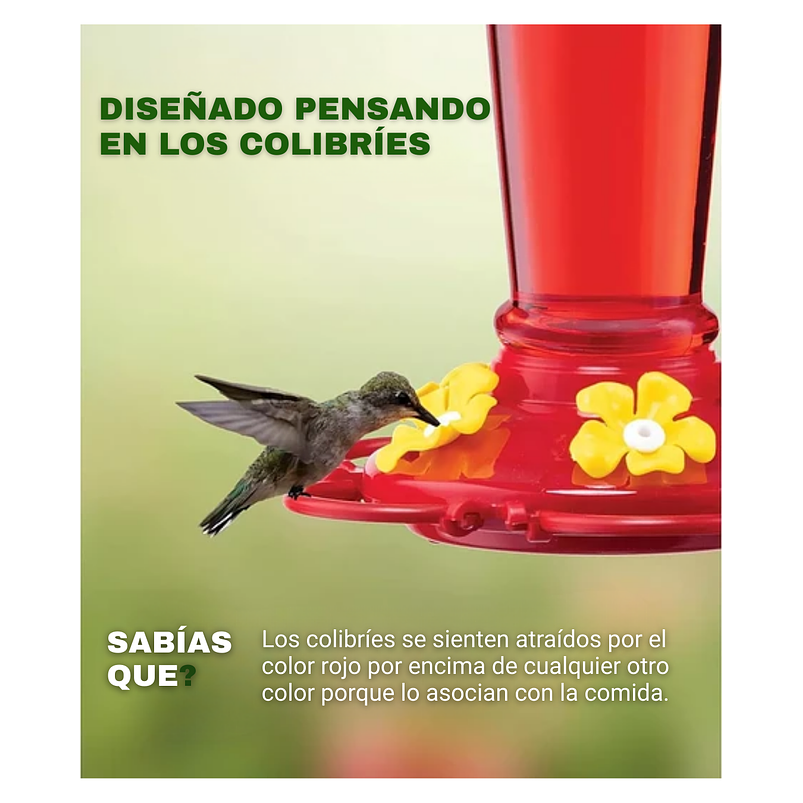 Bebedero Para Colibríes Aves Plastico De Colgar En Jardines 7