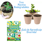 Kit Herramientas Jardinería Cultivo Plantas Para Niños - Miniatura 3