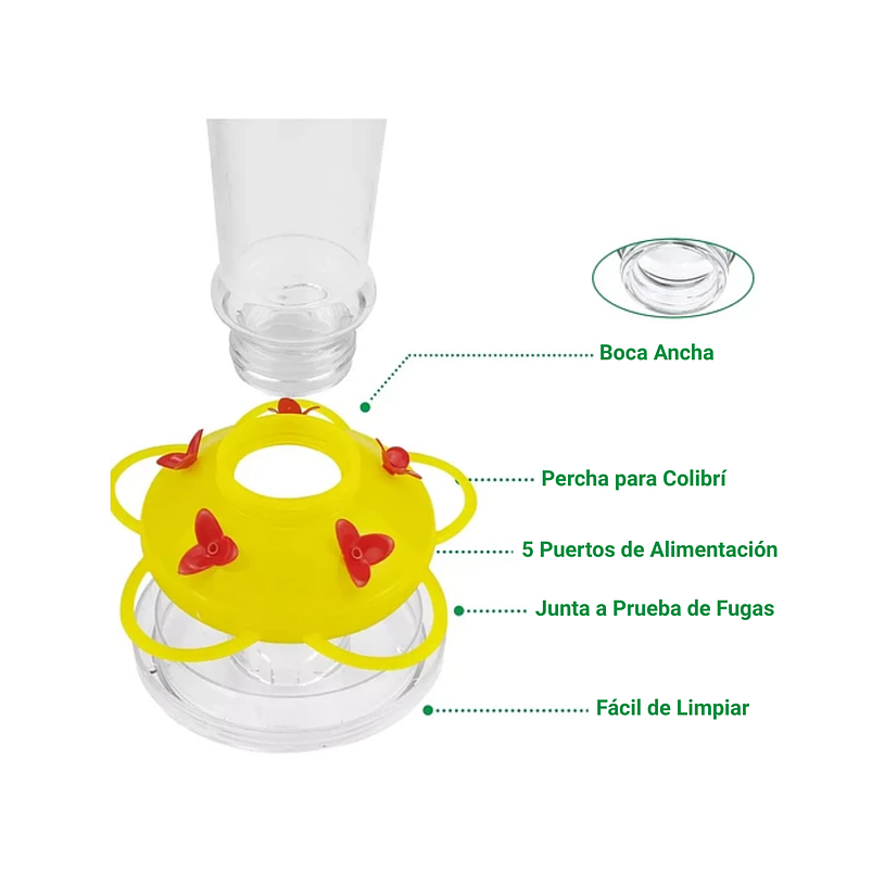 Bebedero Aves Colibríes Cilíndrico Colgar Vidrio x5 Flores 2