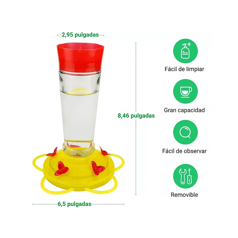 Bebedero Aves Colibríes Cilíndrico Colgar Vidrio x5 Flores 4