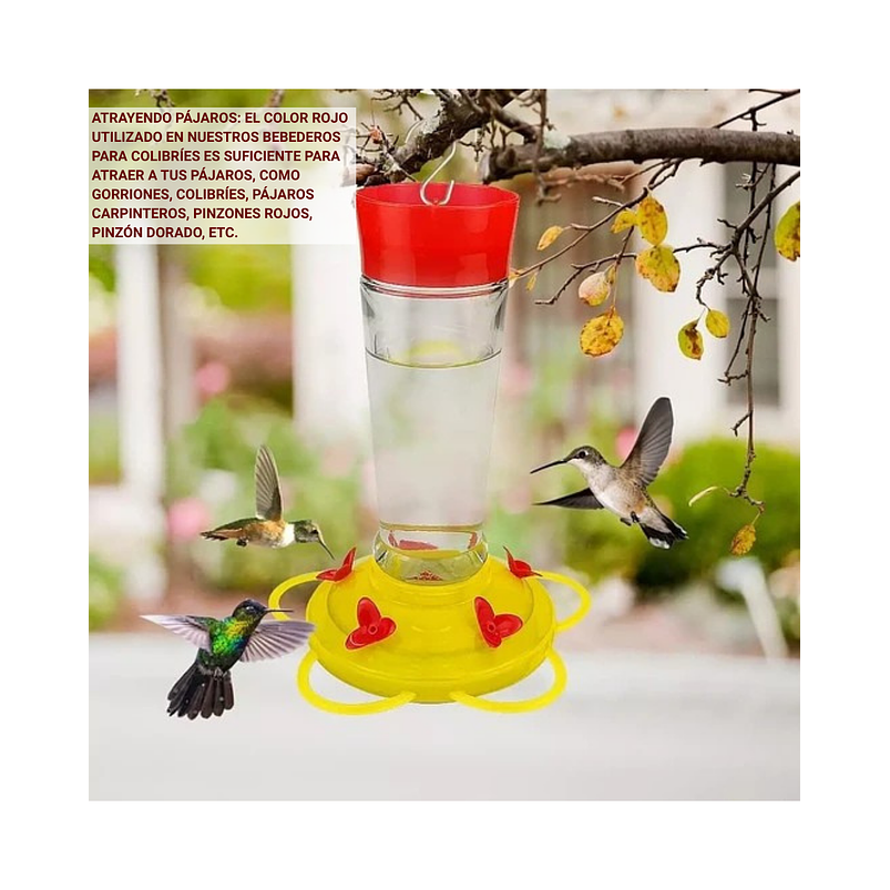 Bebedero Aves Colibríes Cilíndrico Colgar Vidrio x5 Flores 6