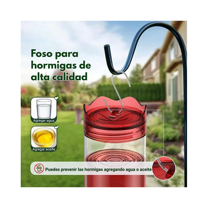 Bebedero Colibríes 01 Unid Aves Colgante Plastico X6 Flores 5