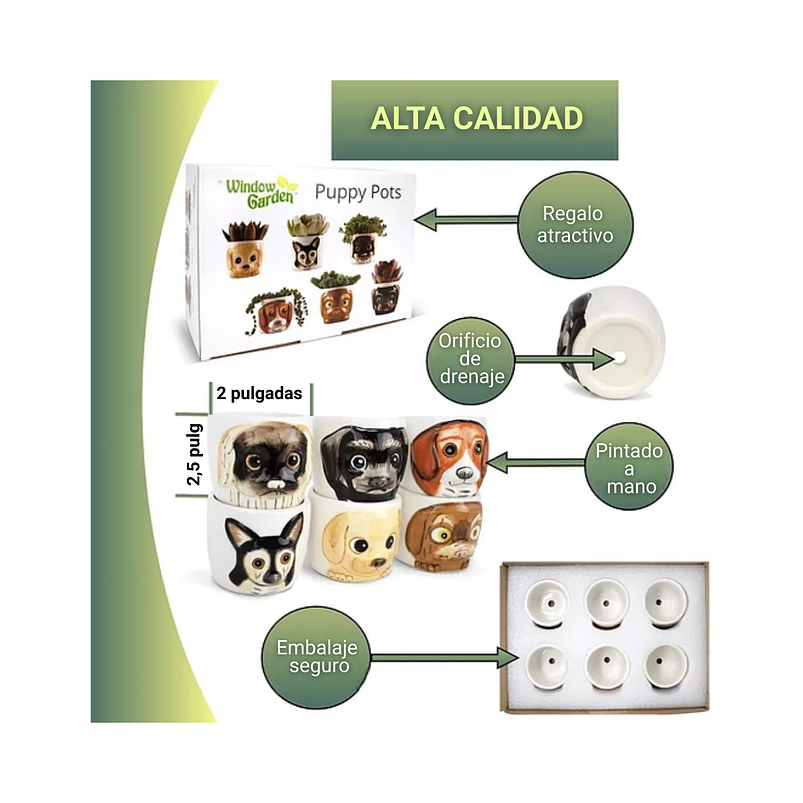 Juego Macetas Cerámica X6 Unid Plantas Suculentas y Cactus 2