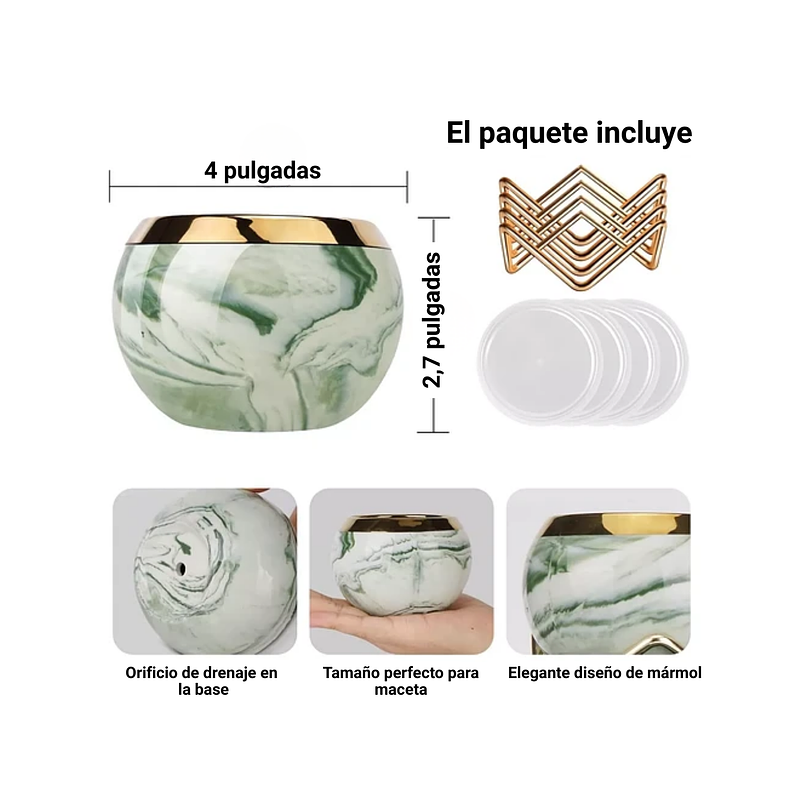 Juego Macetas x4 Unidades Decorativa Suculentas Cactus de Mesa 2