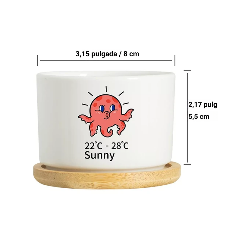 Juego Maceta Cerámica Premium Plantas Cactus y Suculentas 3