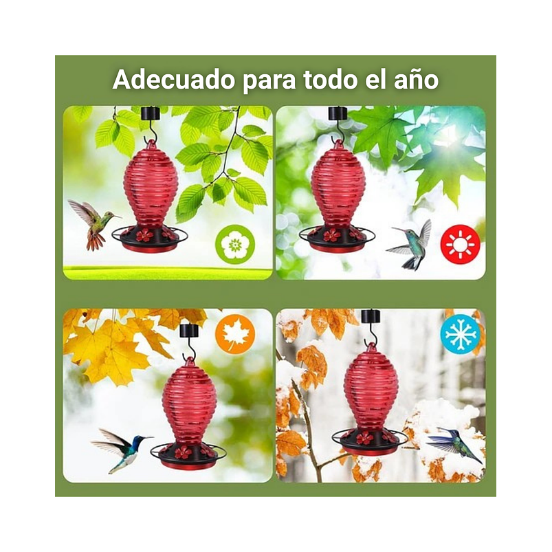 Colibries Bebedero de Aves de Colgar en Vidrio x5 Flores 4