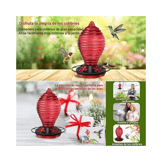 Colibries Bebedero de Aves de Colgar en Vidrio x5 Flores 5