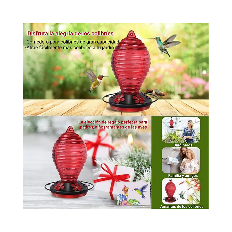 Colibries Bebedero de Aves de Colgar en Vidrio x5 Flores 5