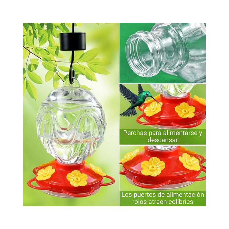 Colibries Bebedero Para Aves de Colgar Vidrio x5 Flores 8