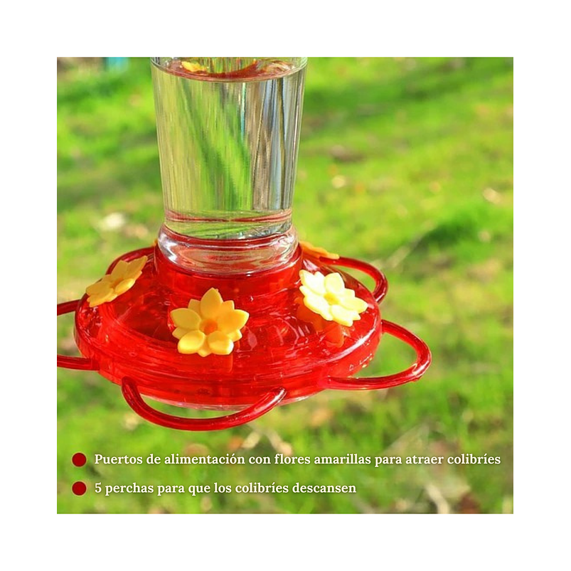 Bebedero Colibríes Aves de Colgar en Vidrio x5 Flores 5