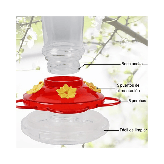 Bebedero Colibríes Aves de Colgar en Vidrio x5 Flores 6