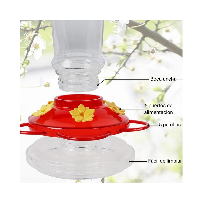 Bebedero Colibríes Aves de Colgar en Vidrio x5 Flores 6