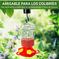 Bebedero Colibríes Aves Colgante Botella en Vidrio - Miniatura 5