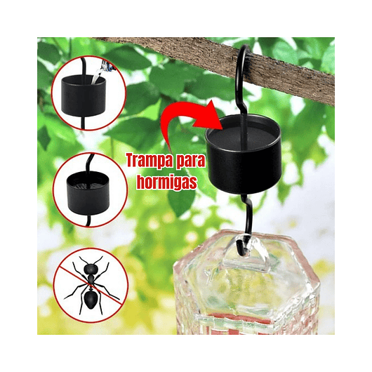 Bebedero Colibríes Aves Colgante Botella en Vidrio 8