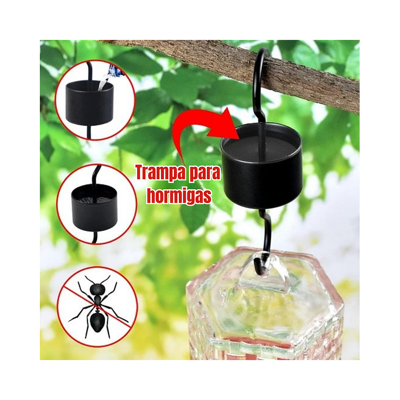 Bebedero Colibríes Aves Colgante Botella en Vidrio 7