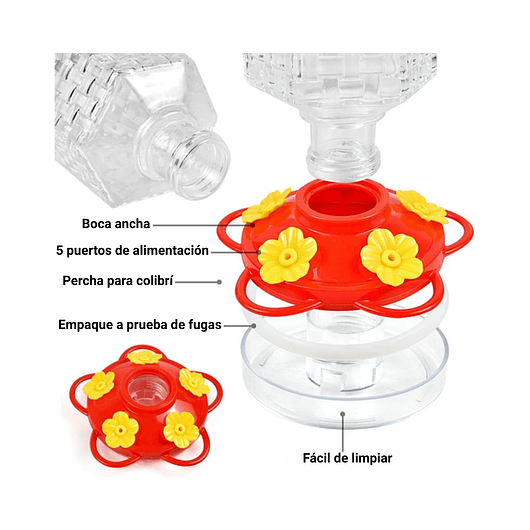 Bebedero Colibríes Aves Colgante Botella en Vidrio 9