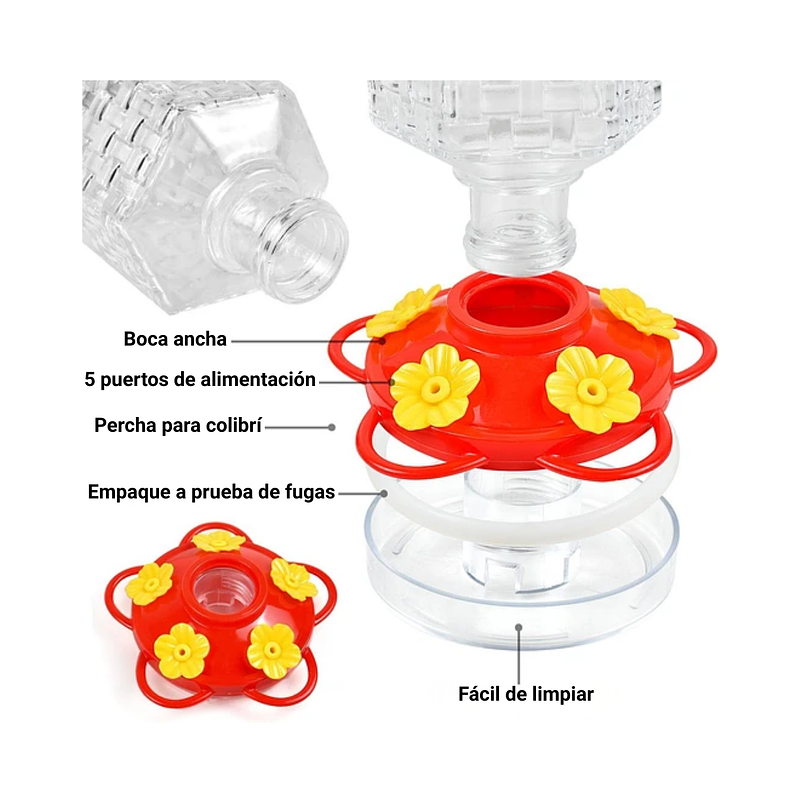 Bebedero Colibríes Aves Colgante Botella en Vidrio 8