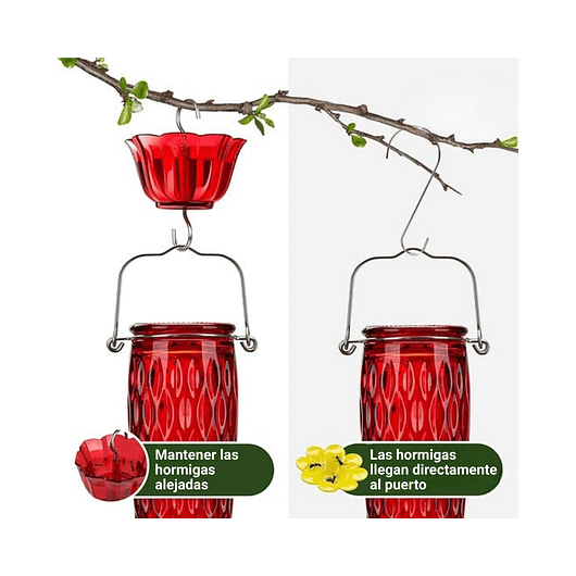 Bebedero Colibríes Aves Colgante En Vidrio X24oz 4