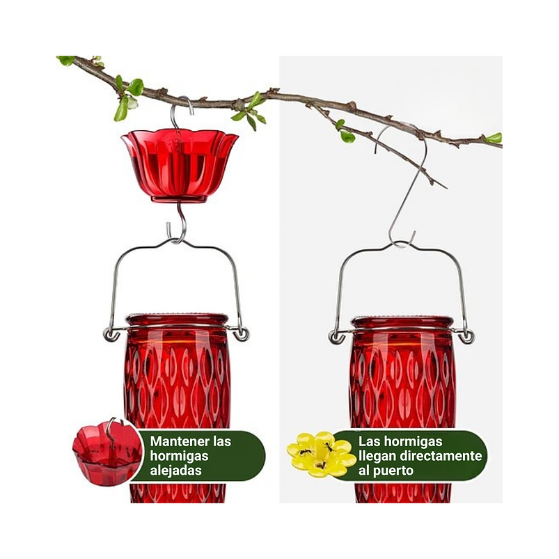 Bebedero Colibríes Aves Colgante En Vidrio X24oz 4