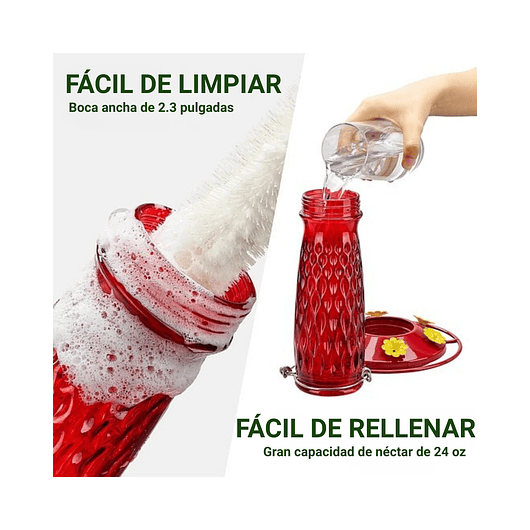 Bebedero Colibríes Aves Colgante En Vidrio X24oz 5