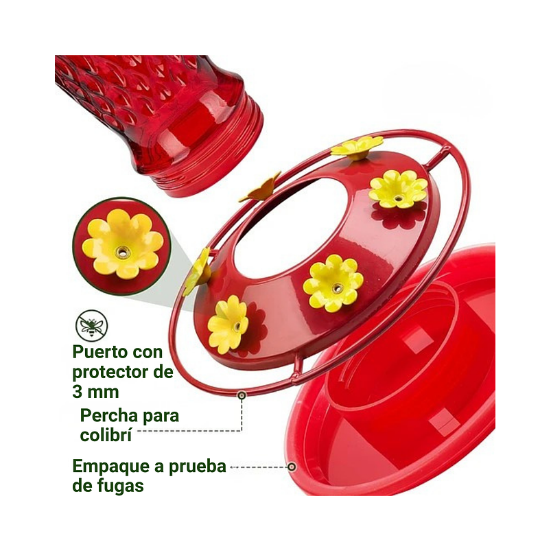 Bebedero Colibríes Aves Colgante En Vidrio X24oz 6