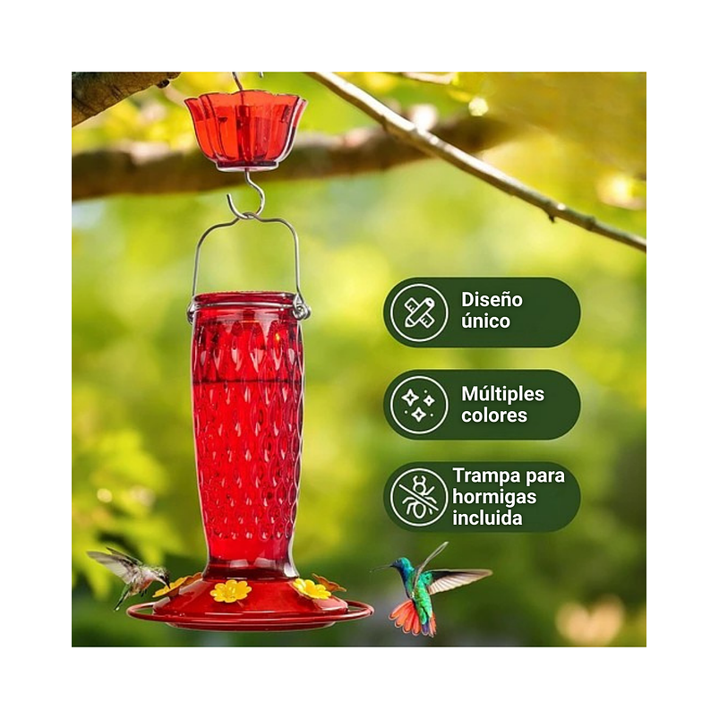 Bebedero Colibríes Aves Colgante En Vidrio X24oz 7