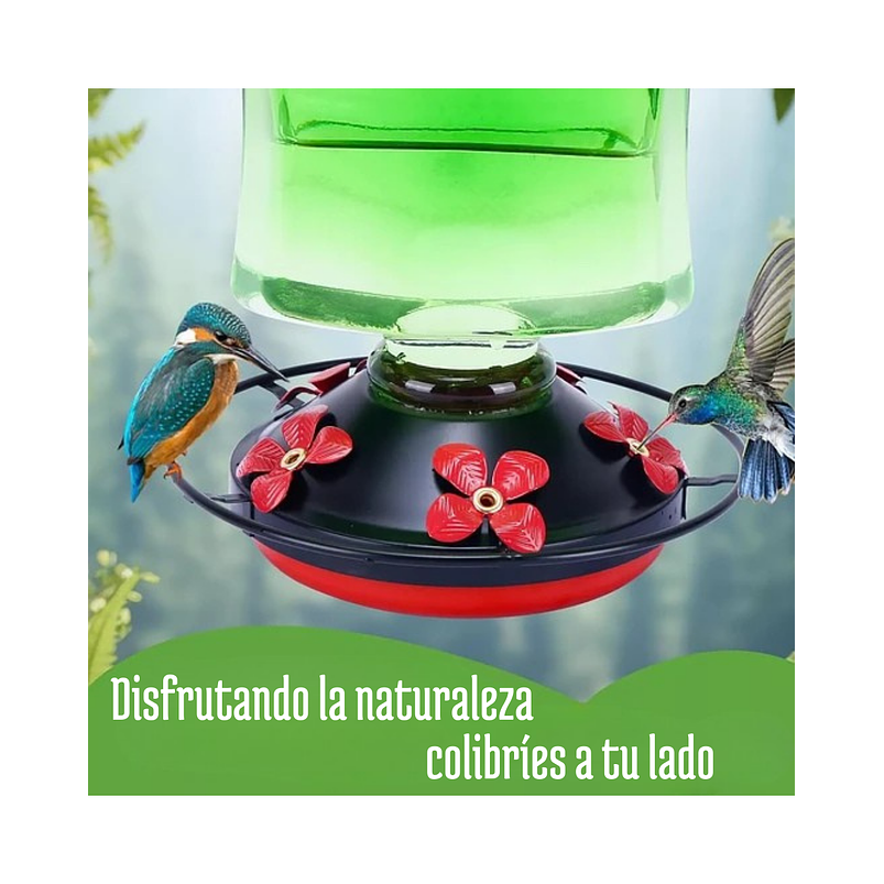 Colibries Bebedero Para Aves De Colgar Vidrio X5 Flores 3