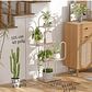 Soporte De Plantas En Maceta Estante Metalico X4 Espacios - Miniatura 6