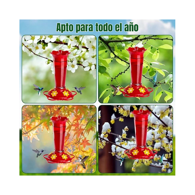 Bebedero Aves Colibríes En Vidrio Para Jardín Colgante x10oz 6