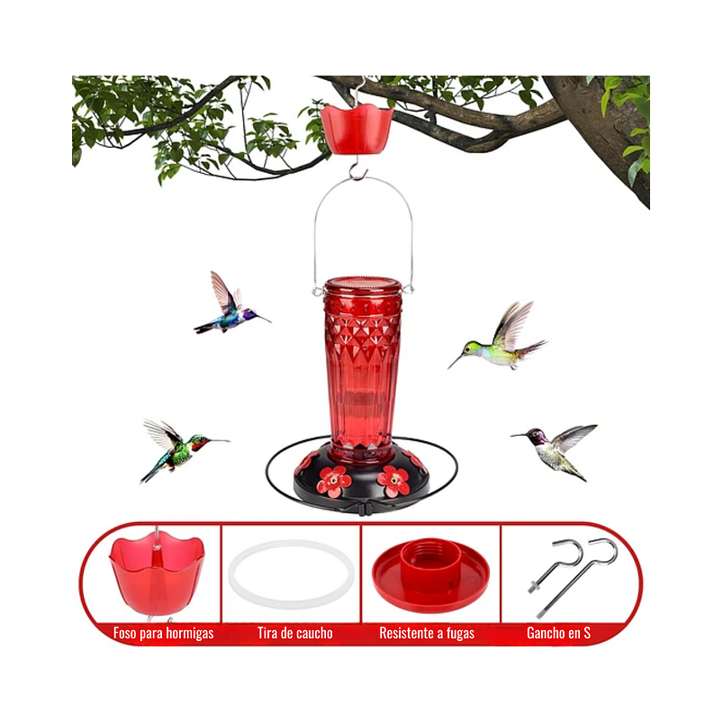 Bebedero Aves Colibríes En Vidrio Para Jardín Colgante x16oz 2