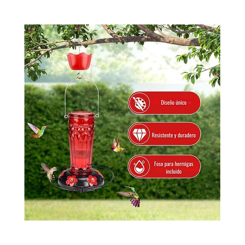 Bebedero Aves Colibríes En Vidrio Para Jardín Colgante x16oz 3