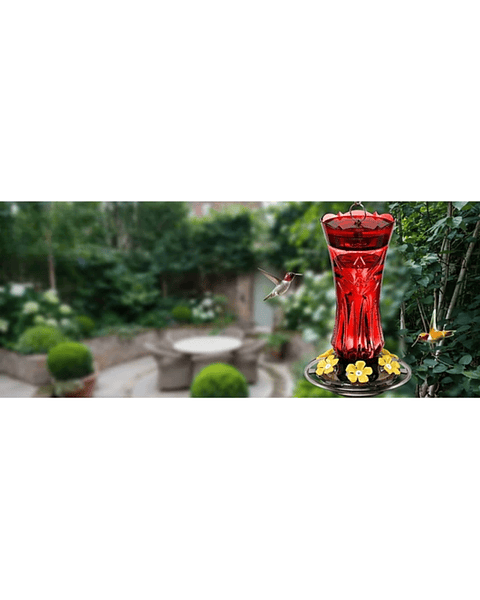 Bebedero Aves Colibríes Plastico Para Jardínes Colgante