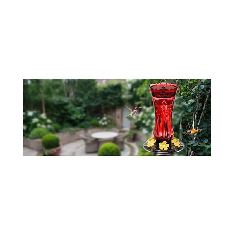 Bebedero Aves Colibríes Plastico Para Jardínes Colgante 2