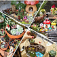 Mini Figuras Decoracion Jardín Hadas Terrarios Peceras x100p - Miniatura 3