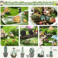 Mini Figuras Jardín De Hadas Terrarios Decoracion Peceras - Miniatura 8