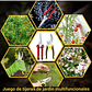 Set Tijeras De Poda De Plantas Jardinería Huerto X2 Und - Miniatura 6