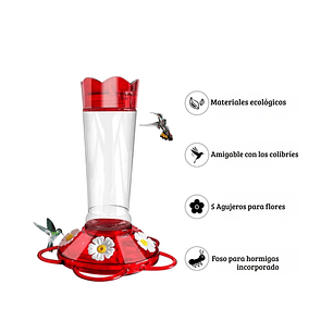 Bebedero Colibríes En Vidrio 5 Puertos De Alimentacion