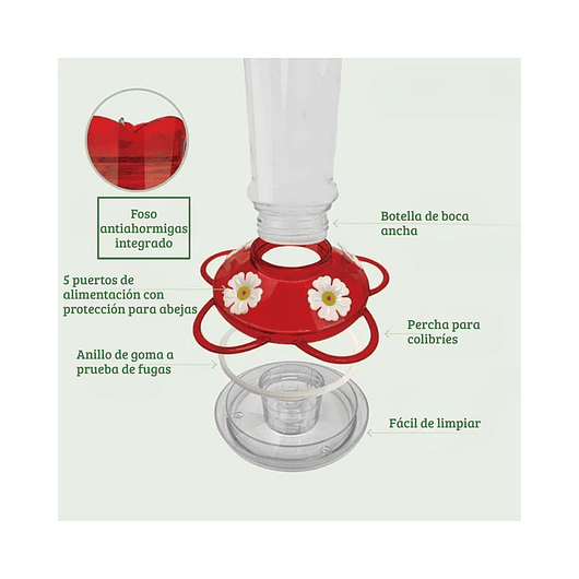 Bebedero Colibríes En Vidrio 5 Puertos De Alimentacion 5