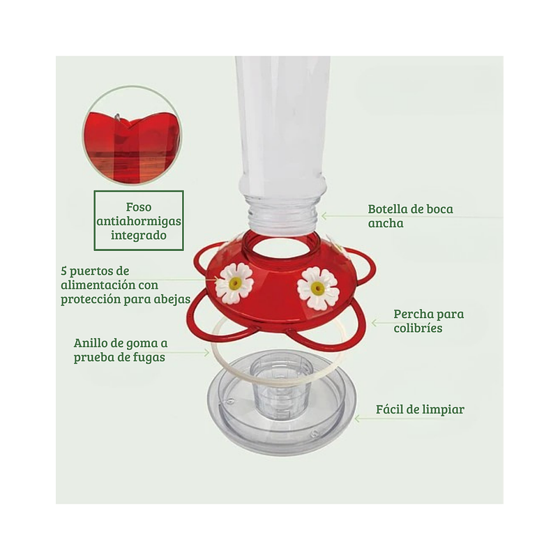 Bebedero Colibríes En Vidrio 5 Puertos De Alimentacion 5