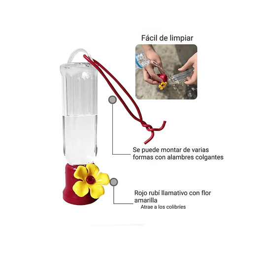 Bebedero Pequeño Aves Colibríes Plástico Colgante x4 Unidad 4
