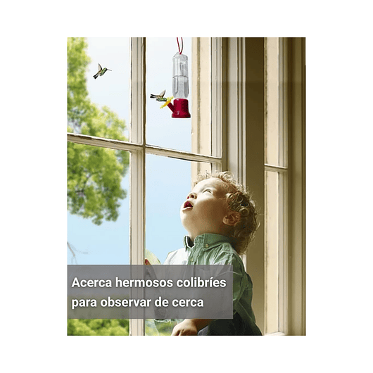 Bebedero Pequeño Aves Colibríes Plástico Colgante x4 Unidad 5