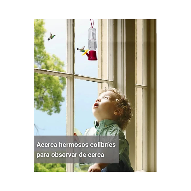 Bebedero Pequeño Aves Colibríes Plástico Colgante x4 Unidad 5