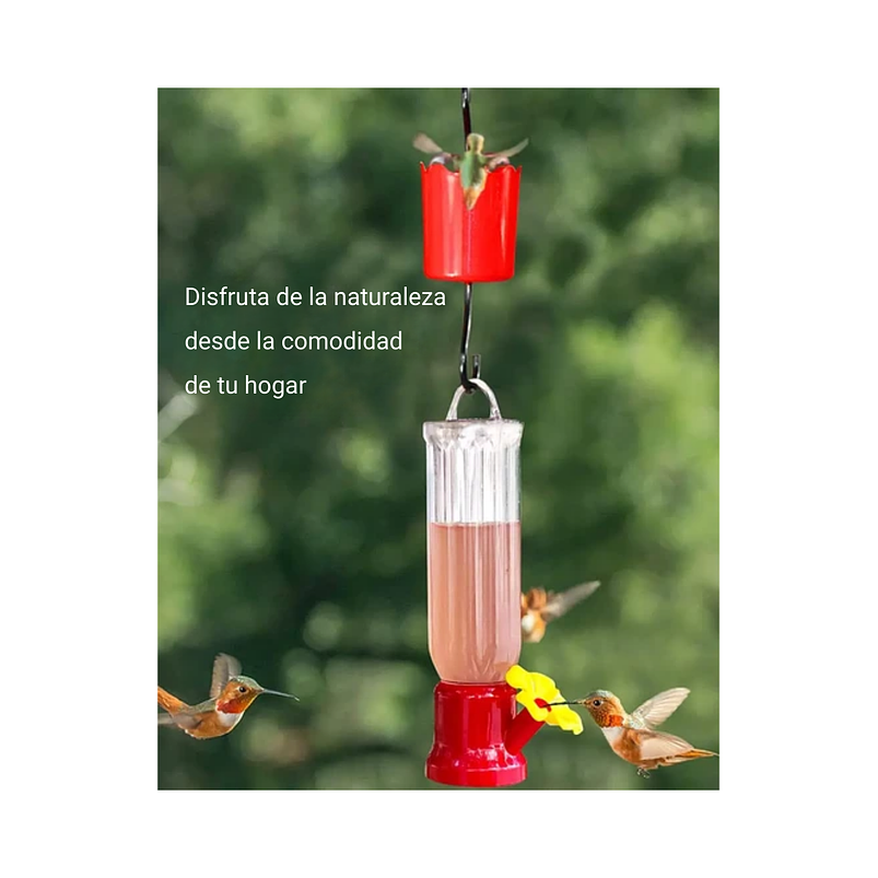 Bebedero Pequeño Aves Colibríes Plástico Colgante x4 Unidad 6