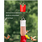 Bebedero Pequeño Aves Colibríes Plástico Colgante x4 Unidad - Miniatura 6