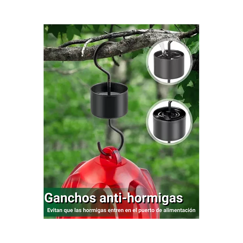 Bebedero Colibríes Aves Colgante Vidrio Soplado A Mano 3