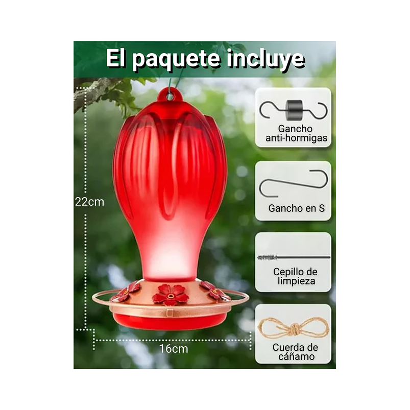 Bebedero Colibríes Aves Colgante Vidrio Soplado A Mano 5