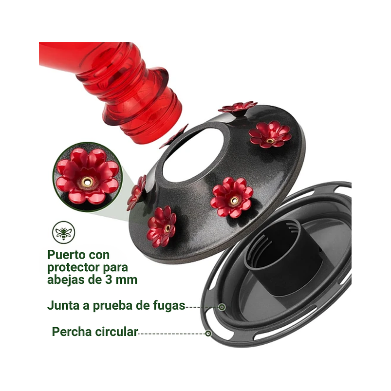 Bebedero Colibríes Aves Colgante En Vidrio x6 Flores 6