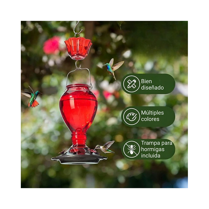 Bebedero Colibríes Aves Colgante En Vidrio x6 Flores 7